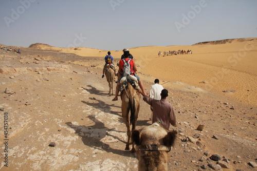 Camels sitting on the ground in the desert, ready to touristic travel. © Cristina