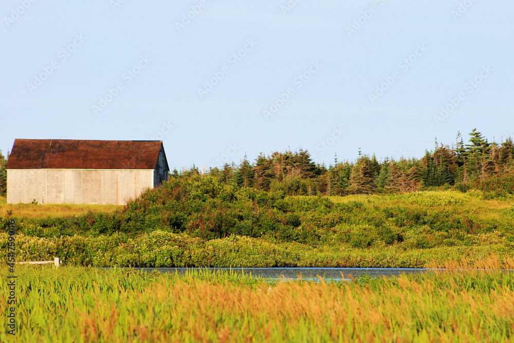 An old barn in a green meadow surrounded by trees, on the far side of a small pond, Bonavista, NL. An old barn in a green meadow surrounded by trees, on the far side of a small pond, Bonavista, NL.