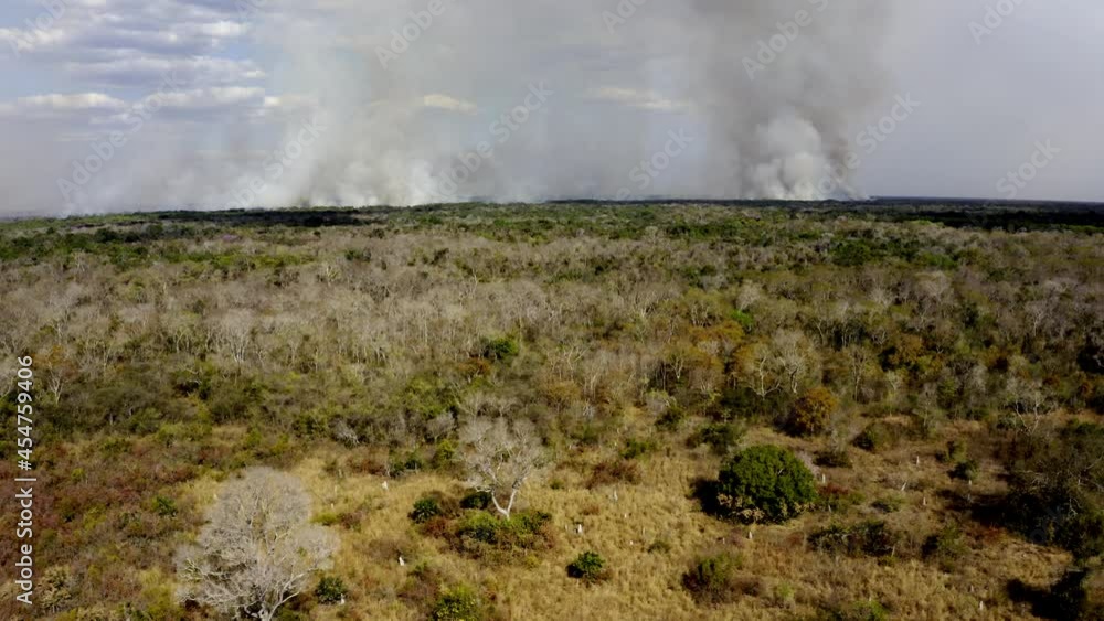 Smoke rising along the horizon of the Brazilian Pantanal and deforestation fires burn the vegetation - aerial view Smoke rising along the horizon of the Brazilian Pantanal and deforestation fires burn the vegetation - aerial view