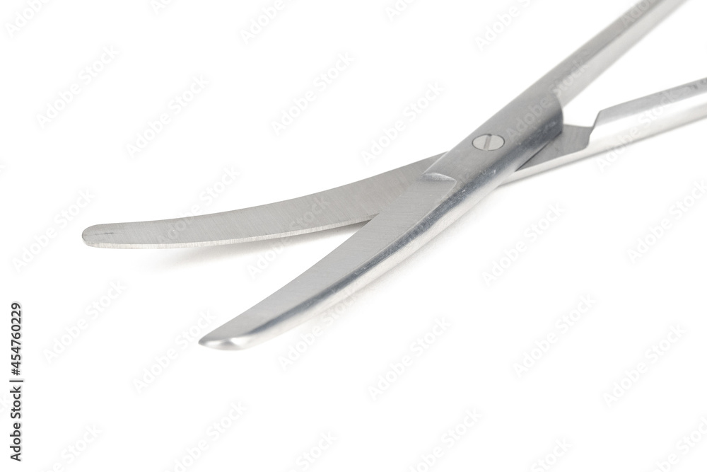 the surgical steel scissors zoom on a white background the surgical steel scissors zoom on a white background