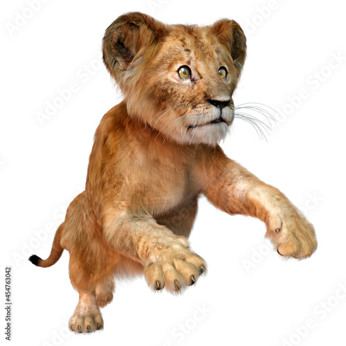 3D Rendering Lion Cub on White