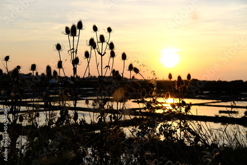A nice sunset in the salt marshes of Guerande. Summer 2021, France.