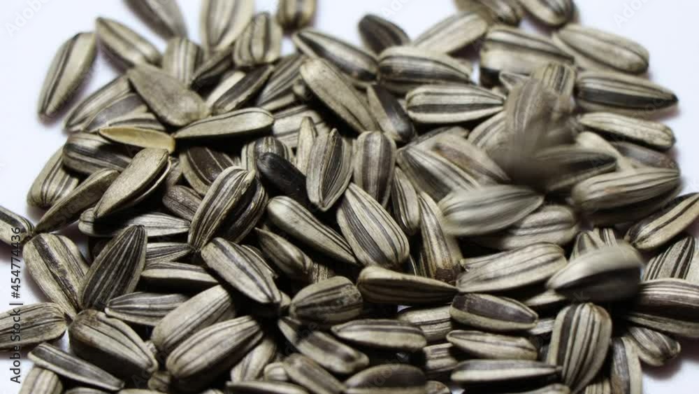 Small sunflower seeds for pets such as birds or hamster Small sunflower seeds for pets such as birds or hamster