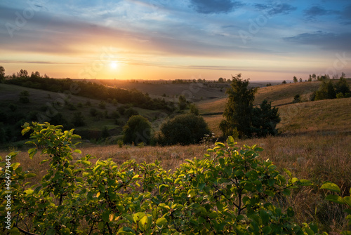 sunset over the field