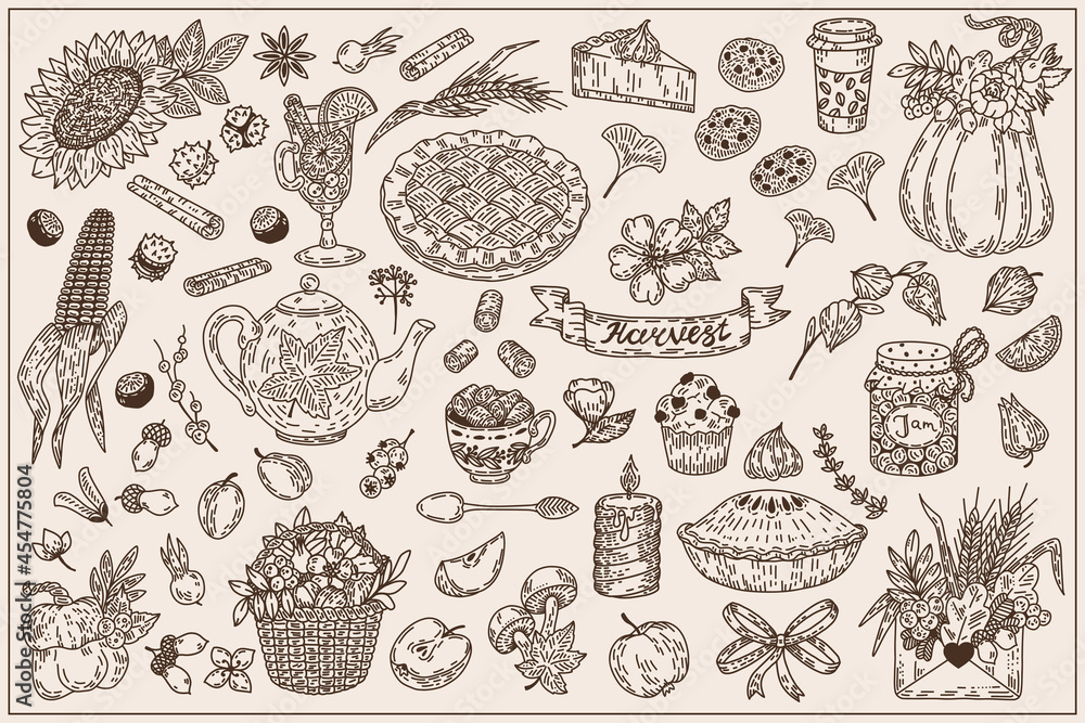 Sketch autumn set. Vector hand drawn plants, food and symbols of fall. Pumpkin, pie, berry, apple, basket, corn, sunflower, candle, jam, tea, coffee. Harvest seasonal illustration.