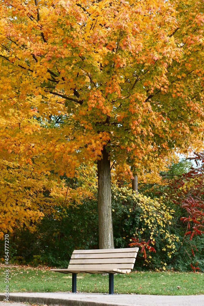 Naklejka premium bench in autumn park