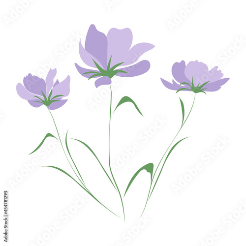 Wildflowers  outline floral design elements isolated on white background. Hand drawn flowers  buds and leaves.