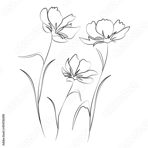 Wildflowers, outline floral design elements isolated on white background. Hand drawn flowers, buds and leaves.