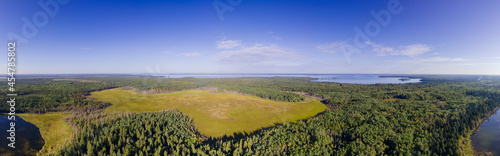 Aerial panorama of a boreal forest with a thick forest of spruce trees  blue lakes and lime green swamps under a blue sky with scattered clouds. 
