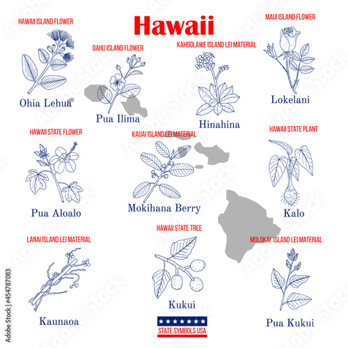 Hawaii. Set of USA official state symbols