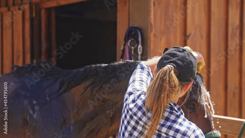 a young beautiful girl with a cap on her head and long hair wash the horse's head. High-quality photo
