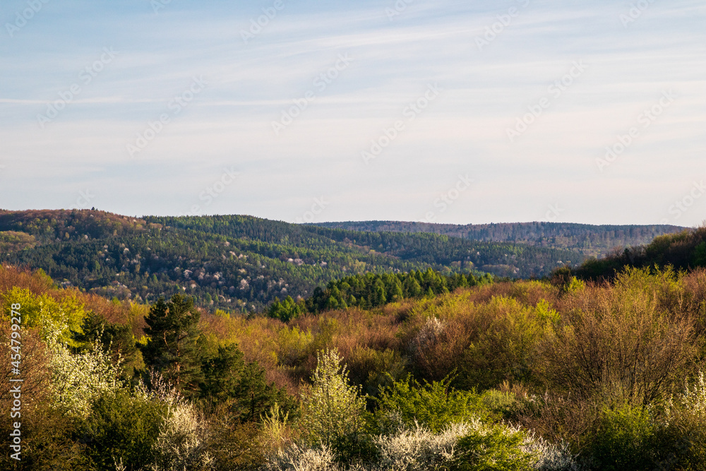 spring landscape in the mountains