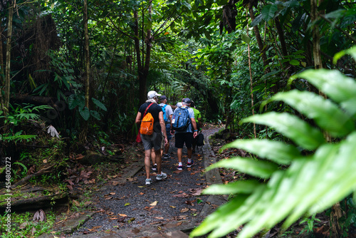 Bild auf Leinwand Hikers on the trail heading to the Emerald Pool in Roseau Dominica