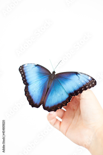 Beautiful Butterfly Morpho sits on a woman's hand with a neutral manicure. White background. A place for text. Beauty. Skin care.
