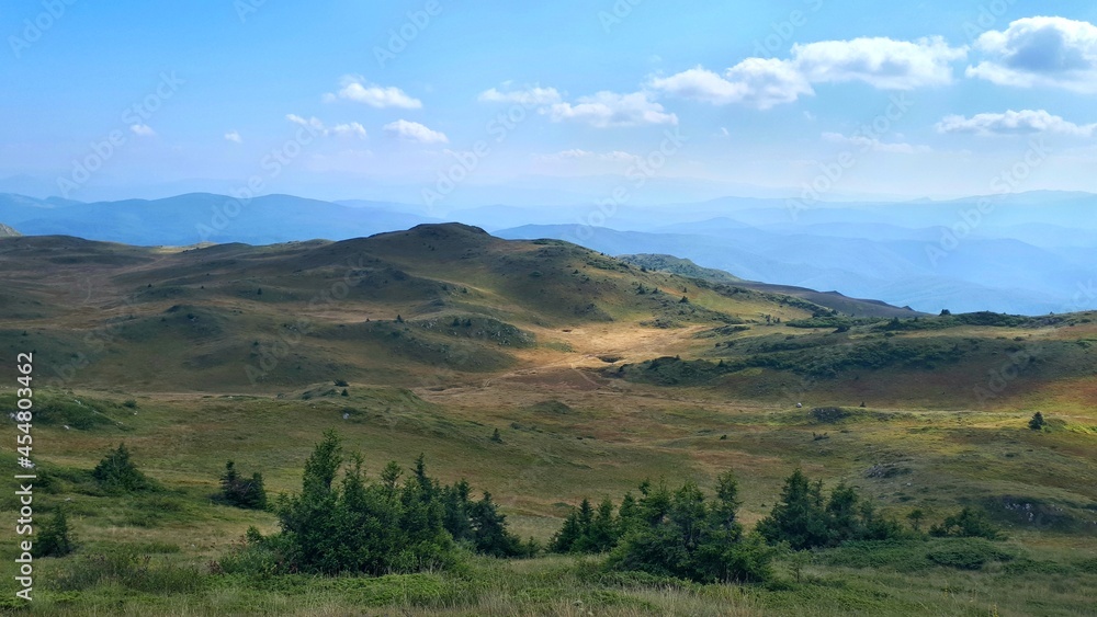 Landscape on mountain Jahorina, golden meadows and field of blueberries in the valley, Bosnia and Herzegovina