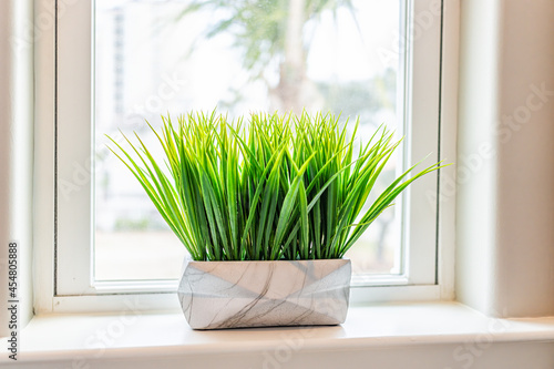 Modern minimalism house bedroom room decoration decor with green flowerpot potted grass plant home interior with window view