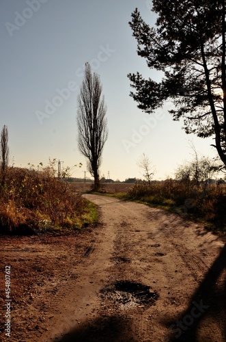 Fototapeta Naklejka Na Ścianę i Meble -  polna droga