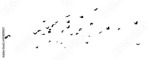 A flock of flying birds. A large flock of flying crows. Vector illustration