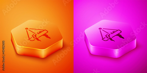 Isometric Plant in hanging pot icon isolated on orange and pink background. Decorative macrame handmade hangers for flower pot, hang indoor plants. Hexagon button. Vector