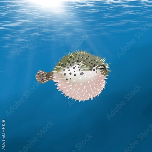 watercolor Fugu fish on the background of the sea and coral