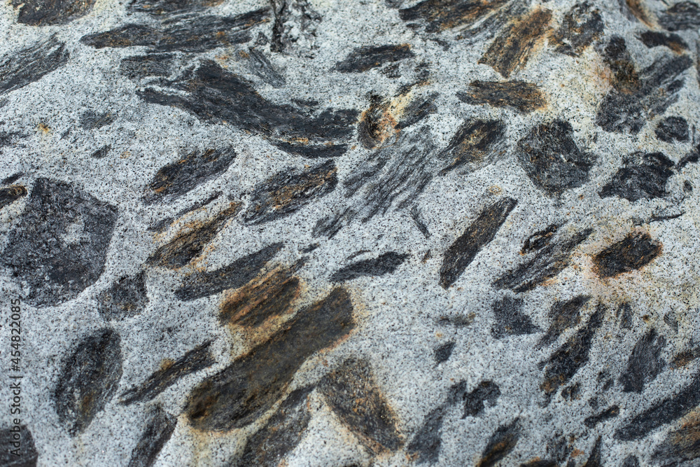 The texture of the rock. White stone with black spots. Natural background surface of cobblestones. The texture of the rock. White stone with black spots. Natural background surface of cobblestones.