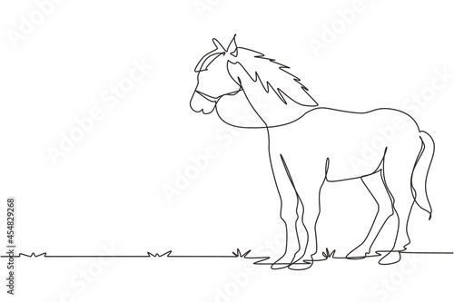 Continuous one line drawing horse standing still not moving watching. Strong character. Equestrian ranch field. Horse racing symbol, equestrian sport. Single line design vector graphic illustration