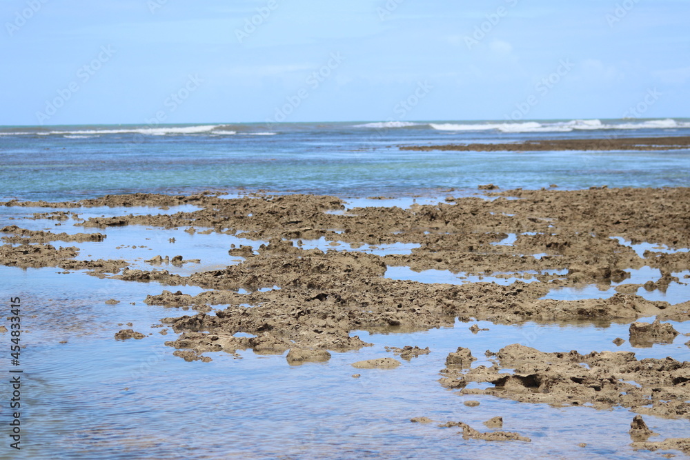 Corais da Quarta Praia de Morro de São Paulo - Bahia Corais da Quarta Praia de Morro de São Paulo - Bahia