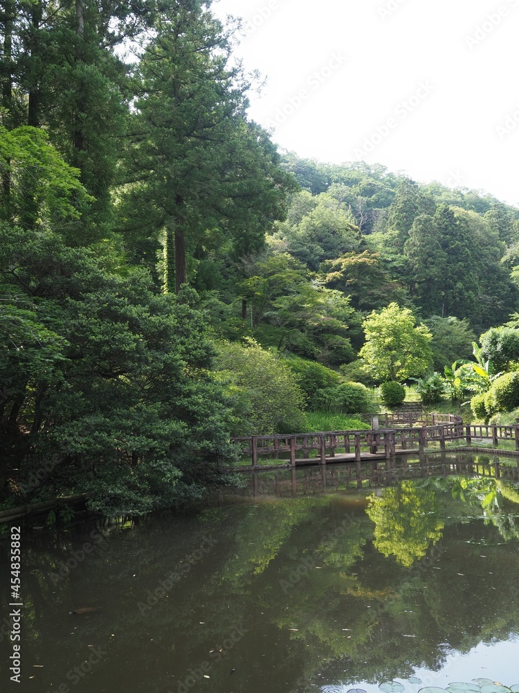 Fototapeta premium Walk in Kiryu's Azuma Park