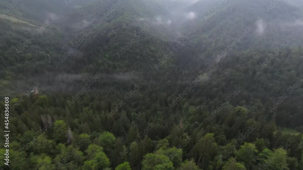 Extreme close flight over treetops in the misty forest morning. Aerial shot on fpv sport drone over clouds nature valley landscape with mountain hilly terrain. Dynamic cinematic view. Extreme close flight over treetops in the misty forest morning. Aerial shot on fpv sport drone over clouds nature valley landscape with mountain hilly terrain. Dynamic cinematic view.