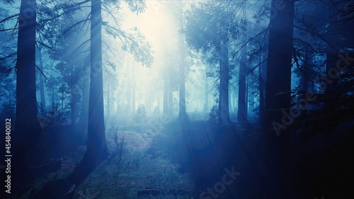 Sunshine with Blue Foggy Forest