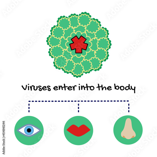Rhinovirus most cause of common cold ,it can enter into the body through eyes ,mouth and respiratory