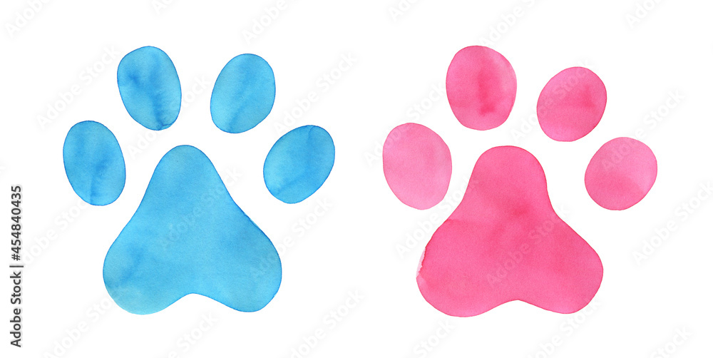 Animal paw prints in light blue and pink colors. Cute male and female symbol. Hand drawn watercolour sketch on white background, isolated clip art elements for design, flyer, banner, poster, stickers. - obrazy, fototapety, plakaty 