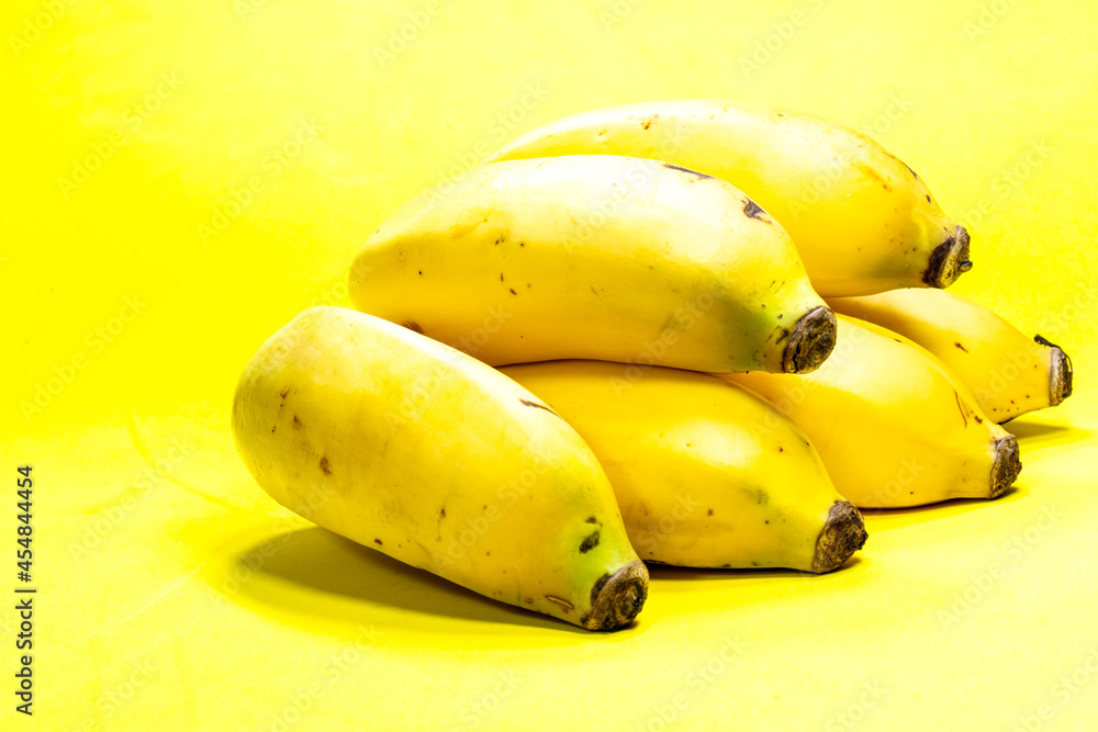 Bunch of apple bananas (Musa acuminata) on a yellow background. Photo produced in a studio