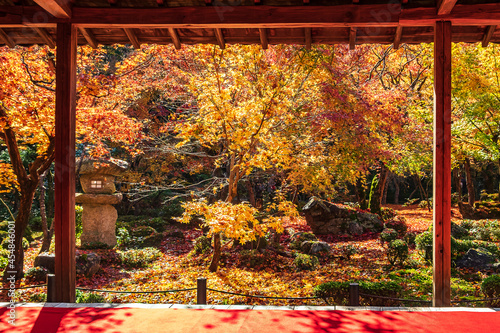 Canvas Print frame between wooden pavilion and beautiful Maple tree in Japanese Garden and red carpet