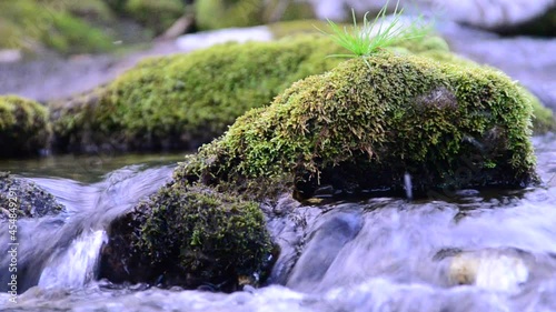 in summer rocky mountain river water silk. mountain river.