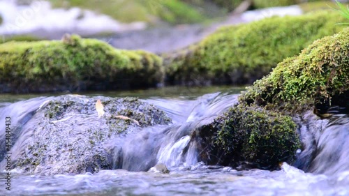 in summer rocky mountain river water silk. mountain river.