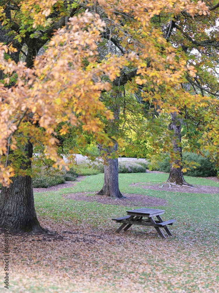 Autumn season in the park.