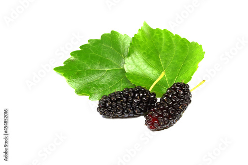 organic Mulberry fruits with green leaves isolated on white background