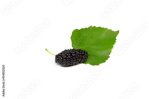 organic Mulberry fruits with green leaves isolated on white background.