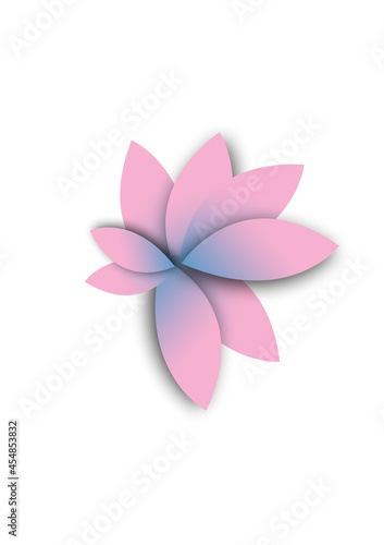 pink frangipani flower