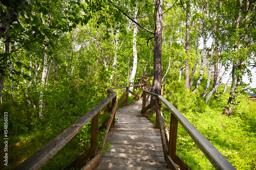 A wooden path in the national park in the middle of the forest. A summer trip.