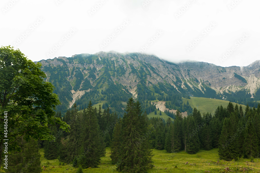 Fototapeta premium Idyllic landscape in the bavarian alps with view of the mountain sorgschrofen. Fresh green meadows and fir trees on a cloudy day. Mountain peaks in the background. Tannheimer valley, Austria