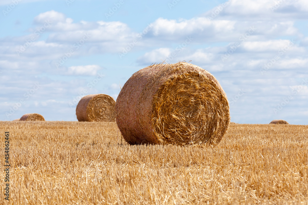 agricultural field with straw stacks