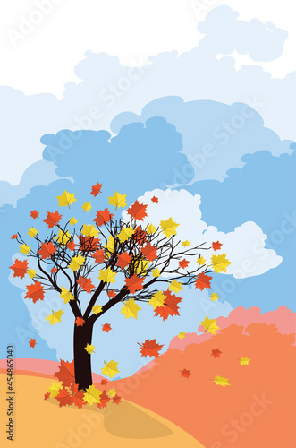 Autumn maple tree and blue sky