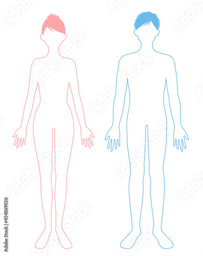 人体　男女の身体　線画