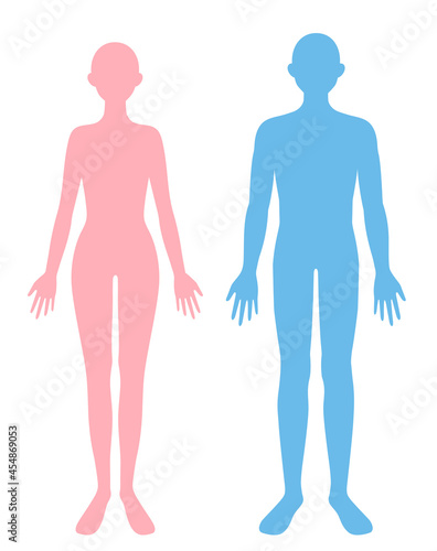 人体　男女の身体のシルエット