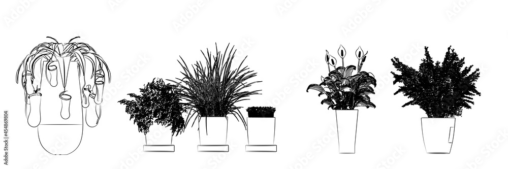 Fototapeta premium flowers hand drawing and sketch black and white.