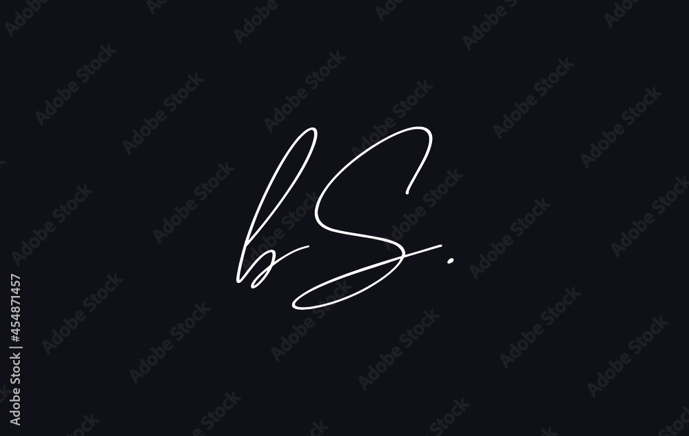 Stylish and elegant letter BS with dark blue background signature logo for company name or initial Stylish and elegant letter BS with dark blue background signature logo for company name or initial