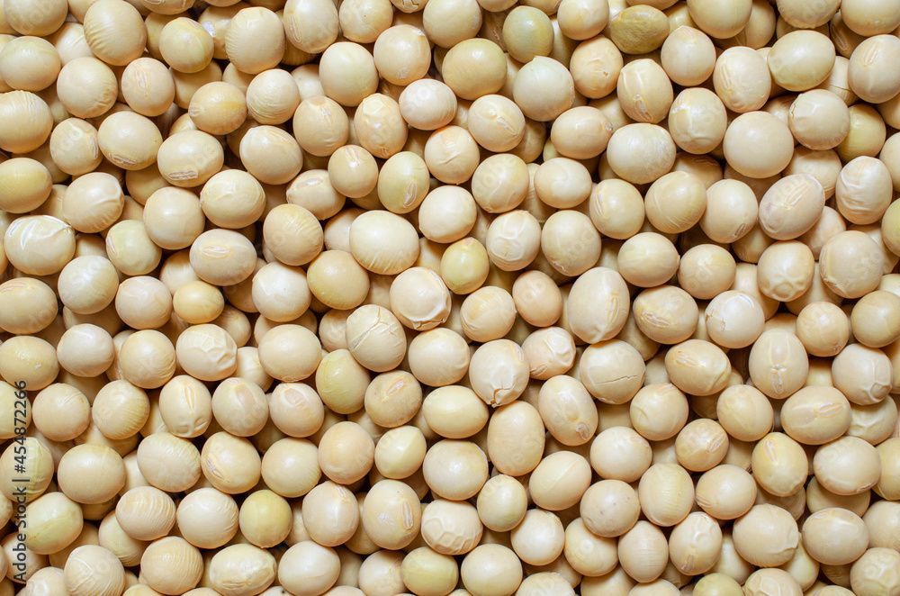 Closed up dry organic soybean seed background. Concept of healthy or diet food ingredient and agricultural product Closed up dry organic soybean seed background. Concept of healthy or diet food ingredient and agricultural product
