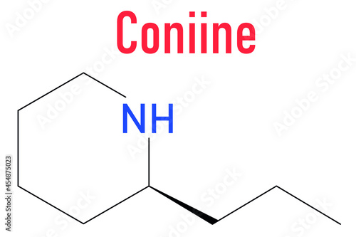 Coniine herbal toxin molecule. Present in poison hemlock (Conium maculatum). Skeletal formula. photo